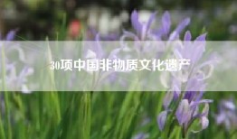 30项中国非物质文化遗产