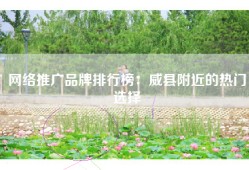 网络推广品牌排行榜：威县附近的热门选择