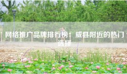网络推广品牌排行榜：威县附近的热门选择