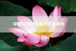 中国认可的日本大学有哪些