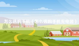 怎么选购手机（怎么选购手机充电器）
