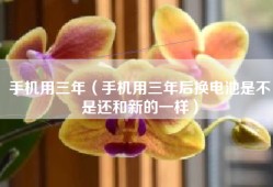 手机用三年（手机用三年后换电池是不是还和新的一样）