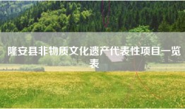 隆安县非物质文化遗产代表性项目一览表