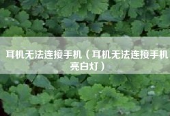 耳机无法连接手机（耳机无法连接手机亮白灯）