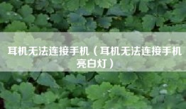 耳机无法连接手机（耳机无法连接手机亮白灯）