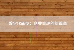 数字化转型：企业管理的新篇章