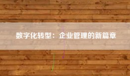 数字化转型：企业管理的新篇章