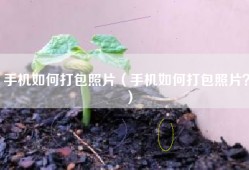 手机如何打包照片（手机如何打包照片？）