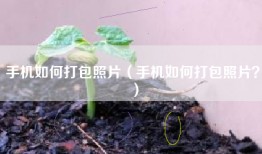 手机如何打包照片(手机如何打包照片?)