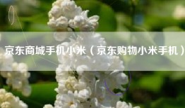 京东商城手机小米（京东购物小米手机）