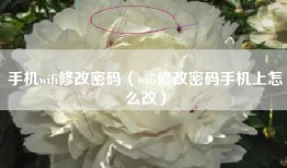 手机wifi修改密码（wifi修改密码手机上怎么改）