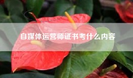 自媒体运营师证书考什么内容