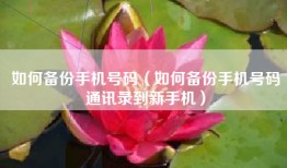 如何备份手机号码（如何备份手机号码通讯录到新手机）