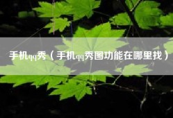 手机qq秀（手机qq秀图功能在哪里找）