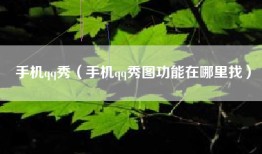 手机qq秀(手机qq秀图功能在哪里找)