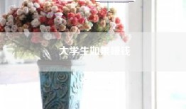大学生如果赚钱