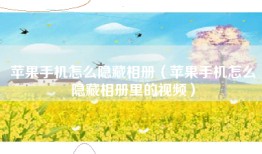 苹果手机怎么隐藏相册（苹果手机怎么隐藏相册里的视频）