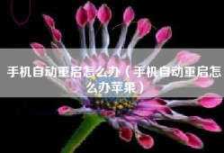 手机自动重启怎么办（手机自动重启怎么办苹果）
