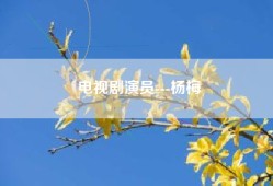 电视剧演员---杨梅
