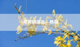 电视剧演员---杨梅