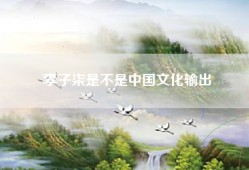 李子柒是不是中国文化输出