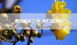 周口仿站公司_周口站百科
