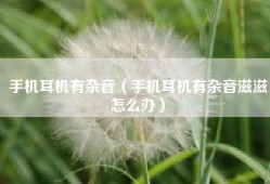 手机耳机有杂音（手机耳机有杂音滋滋怎么办）
