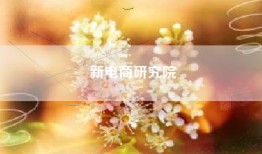 新电商研究院