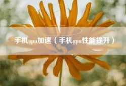 手机gpu加速（手机gpu性能提升）