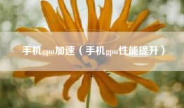 手机gpu加速(手机gpu性能提升)