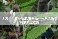 王力翚：以积淀代替幸运——从美院至加拿大工程院