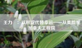 王力翚：以积淀代替幸运——从美院至加拿大工程院