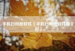 手机扫码枪软件（手机扫码枪软件哪个好）