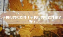 手机扫码枪软件（手机扫码枪软件哪个好）