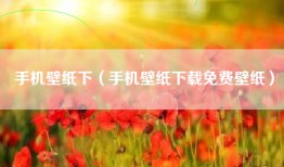 手机壁纸下（手机壁纸下载免费壁纸）