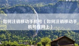 如何注销移动手机号（如何注销移动手机号在网上）
