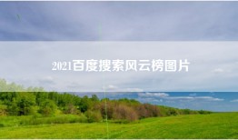 2021百度搜索风云榜图片