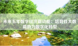 未来五年数字经济新动能：培育壮大数商助力数字化转型