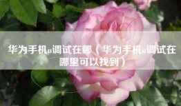 华为手机u调试在哪（华为手机u调试在哪里可以找到）