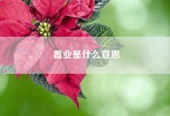 置业是什么意思
