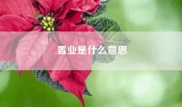 置业是什么意思