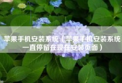 苹果手机安装系统（苹果手机安装系统一直停留在现在安装页面）