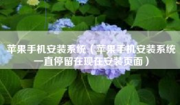 苹果手机安装系统（苹果手机安装系统一直停留在现在安装页面）
