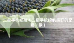 三星手机续航（三星手机续航最好的是哪一款）