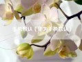 手机默认（华为手机默认）