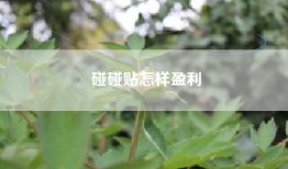 碰碰贴怎样盈利