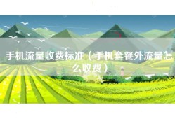 手机流量收费标准（手机套餐外流量怎么收费）