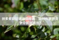 拼多多新店铺运营攻略：如何在激烈竞争中脱颖而出？