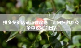 拼多多新店铺运营攻略：如何在激烈竞争中脱颖而出？