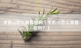 手机qq怎么查看密码（手机QQ怎么查看密码？）